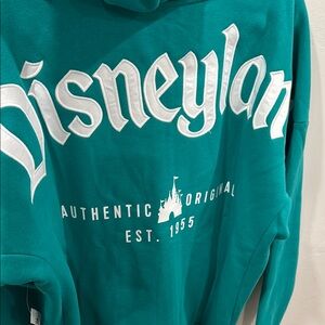 Disneyland zip up with hood